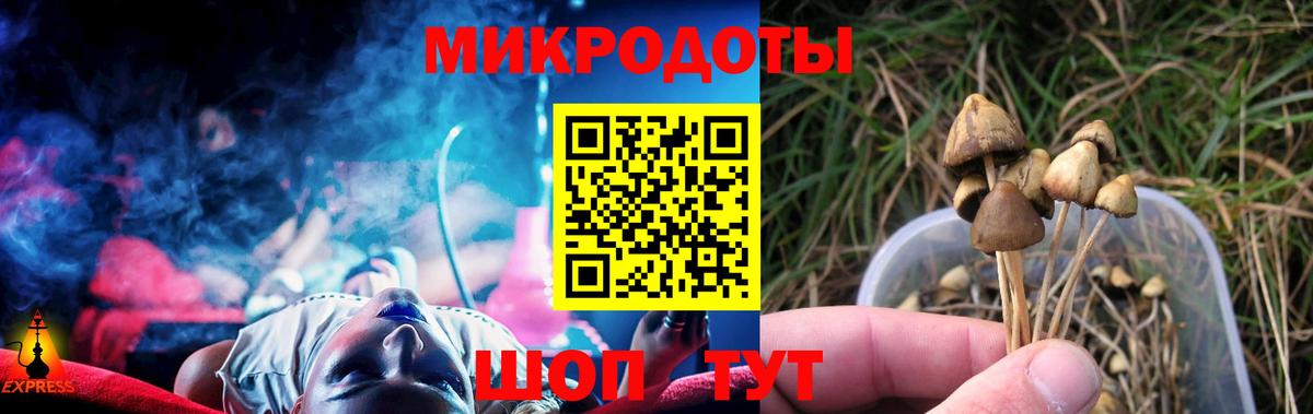 Псилоцибиновые грибы GOLDEN TEACHER  Вход с VPN  Саров  Галлюциногенные грибы мухоморы 