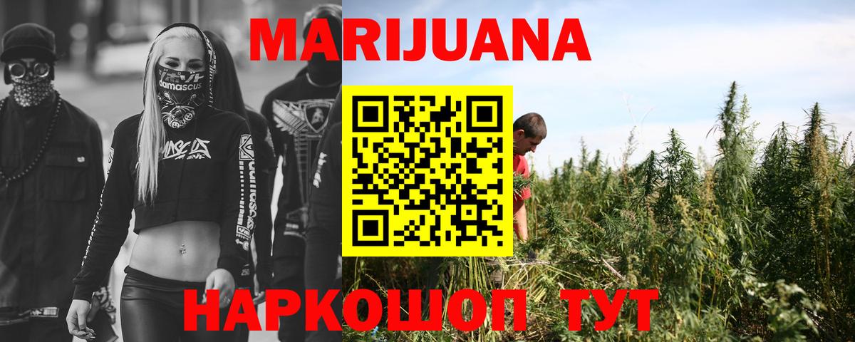 Бошки Шишки марихуана  Канабис планчик  Вход с VPN  Саров 